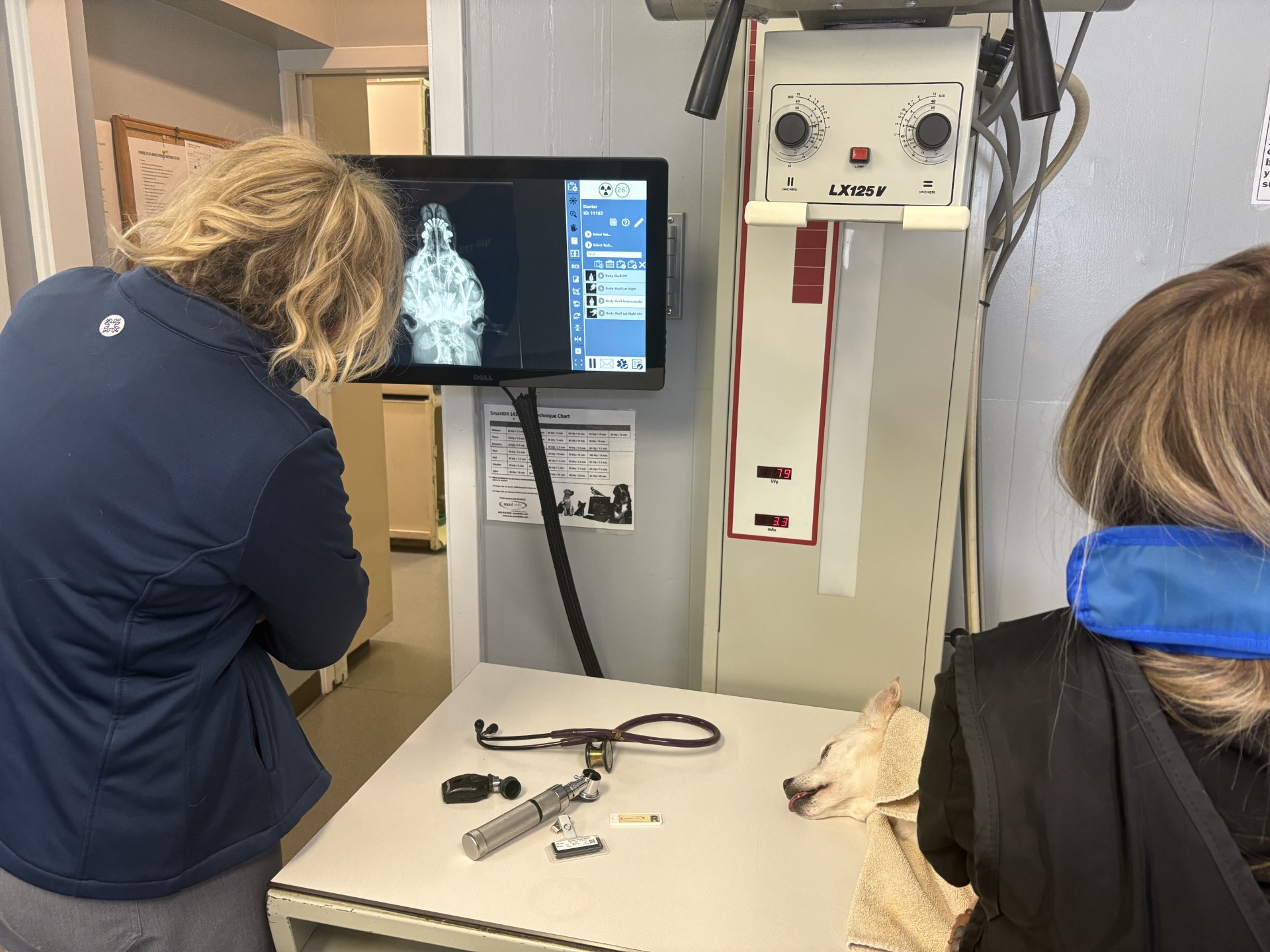 Two veterinary professionals in blue lead aprons preparing a cat for an X-ray in a veterinary clinic